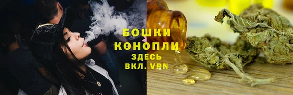 ГАЛЛЮЦИНОГЕННЫЕ ГРИБЫ Бронницы