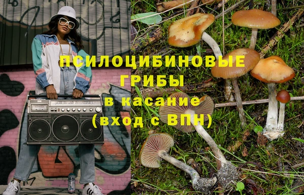 ешки Верхний Тагил
