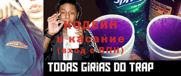 крисы Бугульма